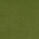 Cactus Solid Cuddle 3 58/60" Fabric per yard