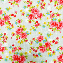 Embroidered Eyelet - Medium Rose - Pink/Red