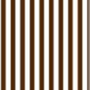 Every Day Prints - Stripes - White/Brown