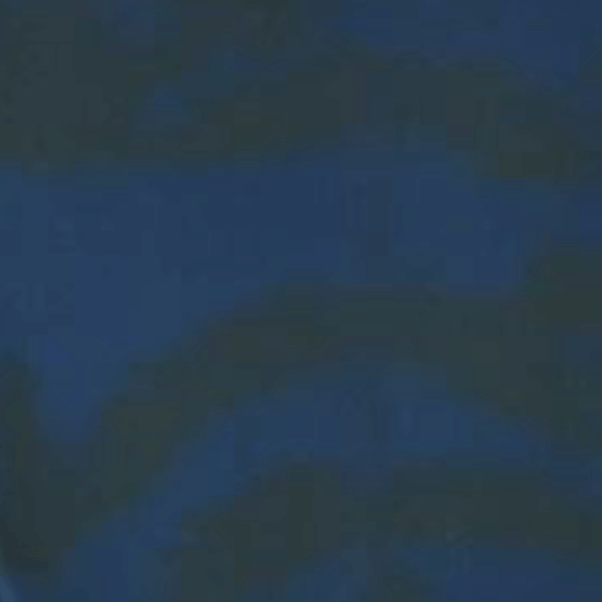 Every Day Prints - Leaf Garden - Black/Navy