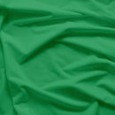 Minky Solid - Kelly Green