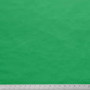 Minky Solid - Kelly Green