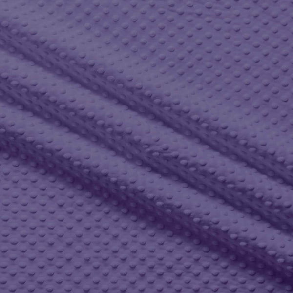 Minky Dot - Purple