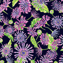 Starlight Safari - African Daisy - Black