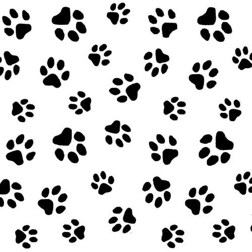 Comfy Flannel - Paw Prints
