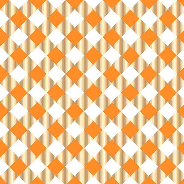 Priscilla's Pretty Plaids - Bias Buffalo Check - Orange/White