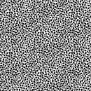 Porch Swing - Lemonade Pitcher - Charcoal