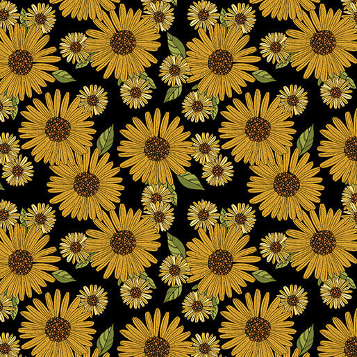 Pumpkin and Spice - Sunflower and Spice - Black