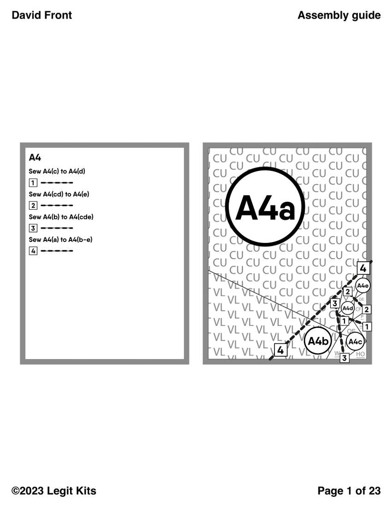 David Front Quilt Kit