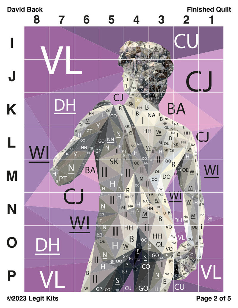 David Back Quilt Kit