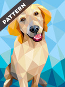 Everest the Retriever Pattern