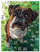 Margot the Boxer Quilt Kit