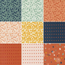 Frisky Fat Quarter Bundle - 12 Pack