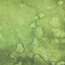 Green Fern Flow Cotton Wideback Fabric Per Yard