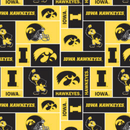 Iowa Hawkeyes - Fleece - Box Logo