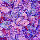 Kaffe Fassett Fittonia Blue