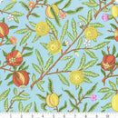 Kaffe Fassett Fruit Duck Egg