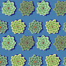 Kaffe Fassett Shadow Flower Teal