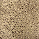 Saratoga Ostrich Faux Leather Vinyl Fabric