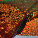Iridescent All Over Sequins Fabric
