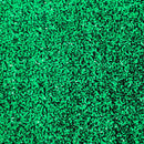Sequins Embroidered Stretch Velvet Rodeo Fabric