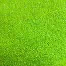 Sequins Embroidered Stretch Velvet Rodeo Fabric