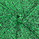 Sequins Embroidered Stretch Velvet Rodeo Fabric