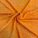 Sequins Embroidered Stretch Velvet Rodeo Fabric