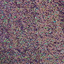 Sequins Embroidered Stretch Velvet Rodeo Fabric