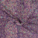 Sequins Embroidered Stretch Velvet Rodeo Fabric
