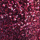 Sequins Embroidered Stretch Velvet Rodeo Fabric