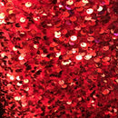 Sequins Embroidered Stretch Velvet Rodeo Fabric