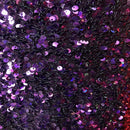 Sequins Embroidered Stretch Velvet Rodeo Fabric