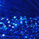 Sequins Embroidered Stretch Velvet Rodeo Fabric