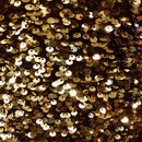 Sequins Embroidered Stretch Velvet Rodeo Fabric