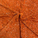 Sequins Embroidered Stretch Velvet Rodeo Fabric