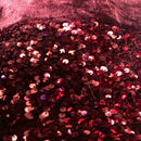 Sequins Embroidered Stretch Velvet Rodeo Fabric