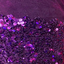 Sequins Embroidered Stretch Velvet Rodeo Fabric