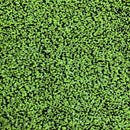 Sequins Embroidered Stretch Velvet Rodeo Fabric
