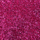 Sequins Embroidered Stretch Velvet Rodeo Fabric