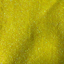 Sequins Embroidered Stretch Velvet Rodeo Fabric