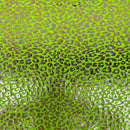Sahara Leopard Foil Print Nylon Spandex Fabric