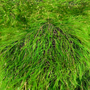 Metallic Faux Fur Tinsel Ostrich Feather Fabric
