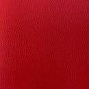 Palma Contract Automotive Faux Leather Vinyl Fabric
