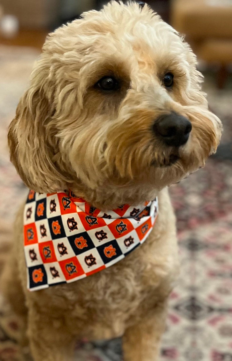 Auburn Tigers 3-Pack Dog Bandana Set