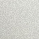 Tone on Tone 108" Supreme Backings - White on White - Crackle