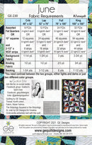 June - Stripology Mixer Pattern 230