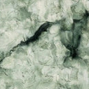 Luxe Cuddle Galaxy Basil Fabric per yard