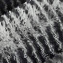 Black Luxe Cuddle Arctic Owl 58"/60" Fabric per yard