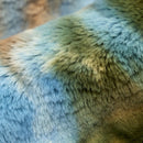 Jurassic Luxe Cuddle Fusion Bunny 58"/60" Fabric per yard